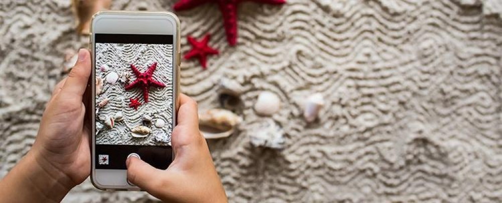 5 secrete care te ajută să faci fotografii macro foarte bune cu telefonul